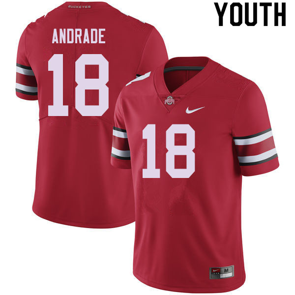 Ohio State Buckeyes J.P. Andrade Youth #18 Red Authentic Stitched College Football Jersey